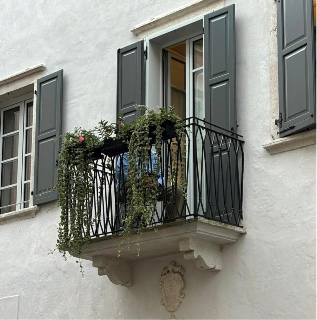 شقة Palazzo Riccamboni ريفا ديل غاردا المظهر الخارجي الصورة